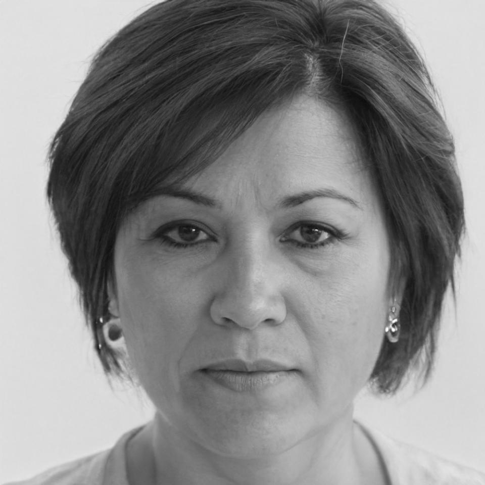 Portrait of Elara Voss, Lead Financial Systems Developer